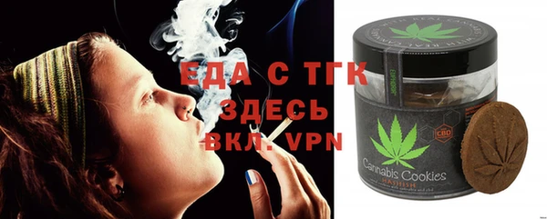 индика Алзамай