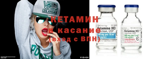 индика Алзамай