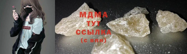 индика Алзамай