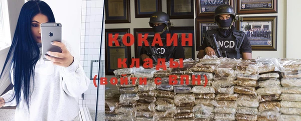 дмт Алексин