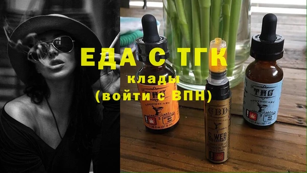 индика Алзамай