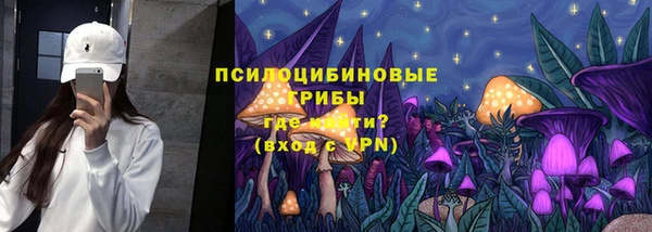 индика Алзамай