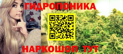 скорость Обь