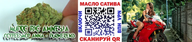 купить наркотик  МЕГА ссылки  ТГК Wax  Глазов 