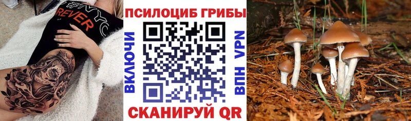 Галлюциногенные грибы мухоморы  Глазов 