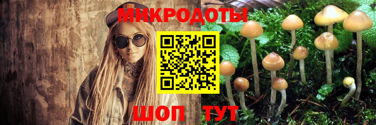 Псилоцибиновые грибы ЛСД  Галлюциногенные грибы GOLDEN TEACHER  продажа наркотиков  Глазов  Вход с VPN 