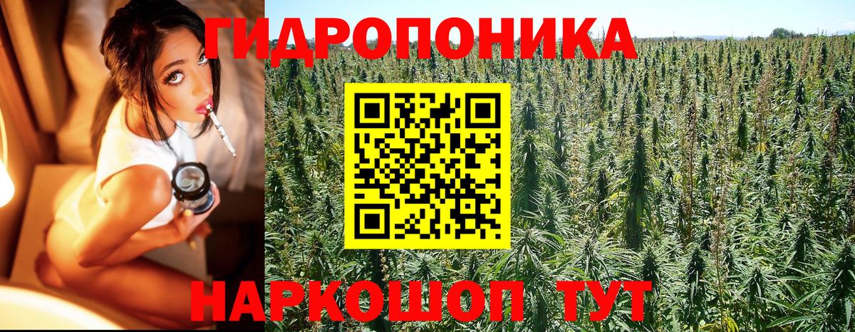 Марихуана план Глазов